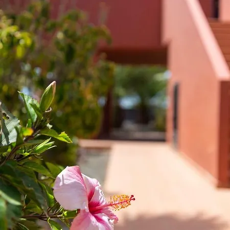 Blu Gardenia *