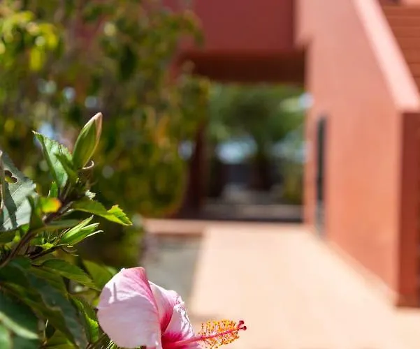 Blu Gardenia *
